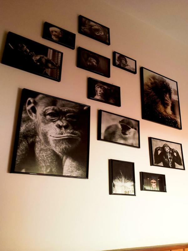 The Mellow Monkey Hostel Zadar Zewnętrze zdjęcie
